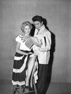 3775 - Jailhouse Rock