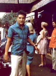 4020 - Blue Hawaii