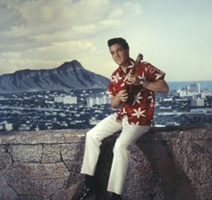 4035 - Blue Hawaii